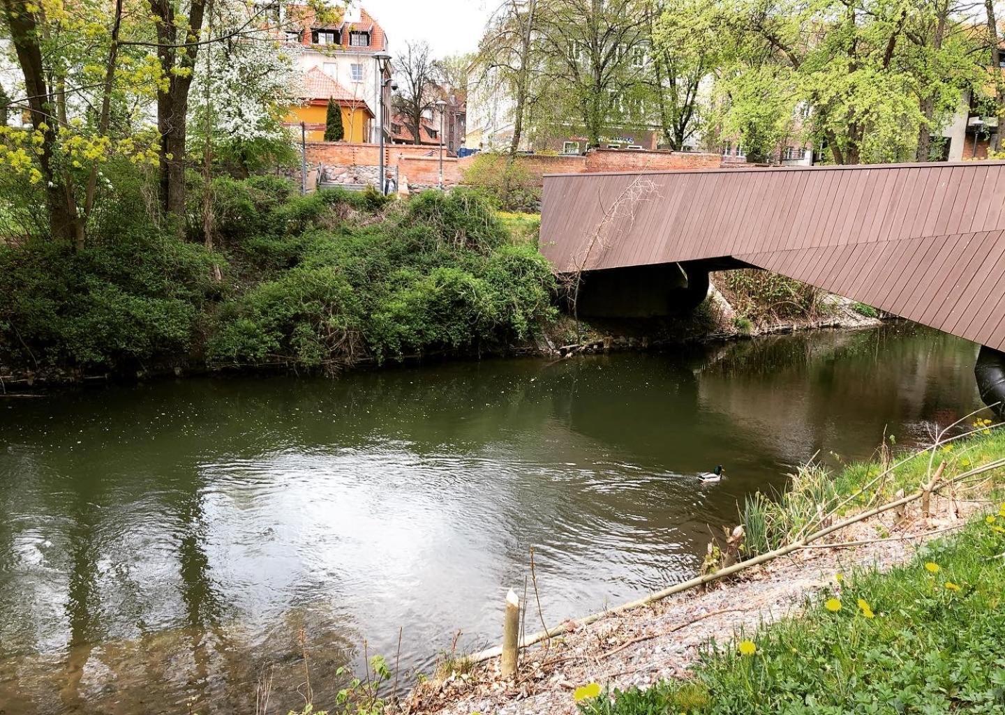 Apartament Parkowy By Rent4You Olsztyn  Dış mekan fotoğraf